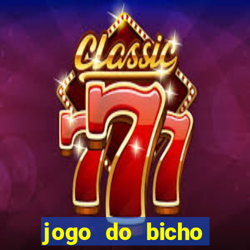 jogo do bicho documentario globoplay